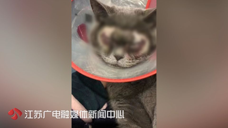 亚瑟王骑士传说字体错乱怎么解决