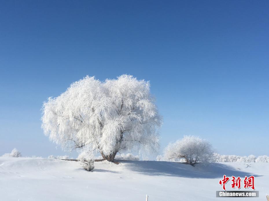 [即时比分手机版下载]