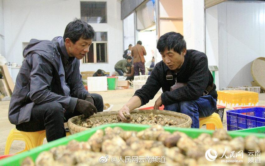 [即时比分手机版下载]