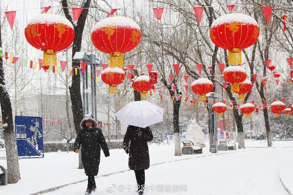 女神异闻录5S图文上手指南